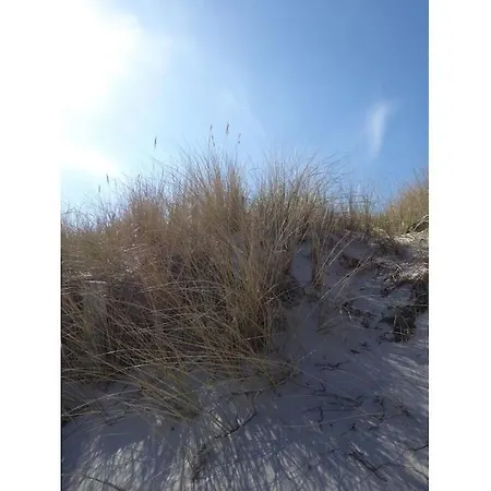 Steinwarder Comfortable * Heiligenhafen