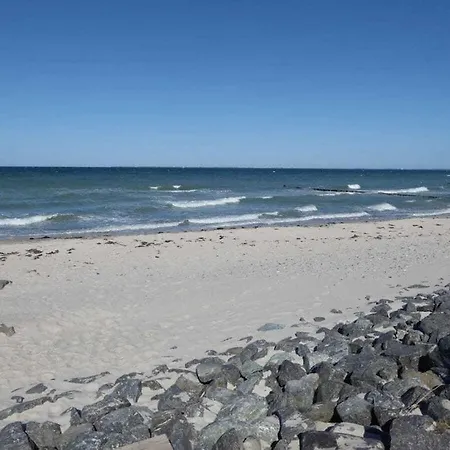 Steinwarder Comfortable